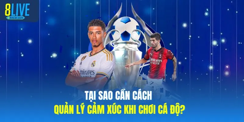 Tại sao cần cách quản lý cảm xúc khi chơi cá độ? 